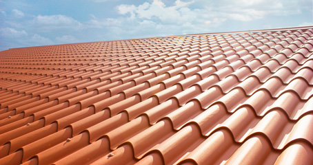 Paneles teja cubierta